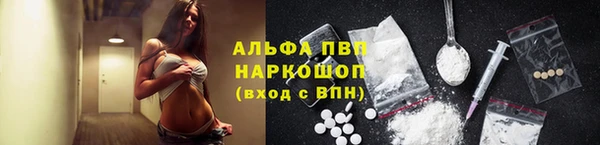 спиды Пересвет