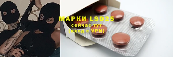 спиды Пересвет