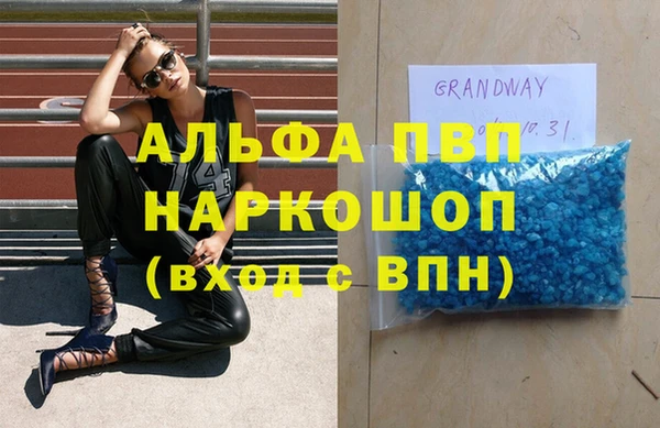 спиды Пересвет