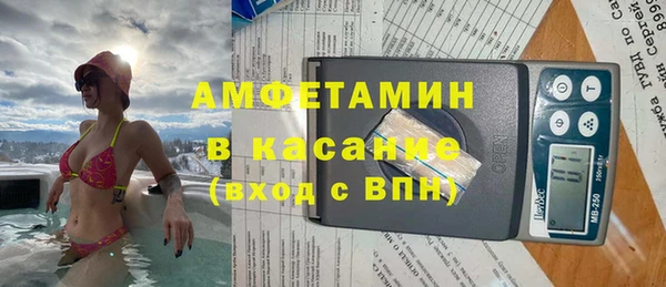 спиды Пересвет